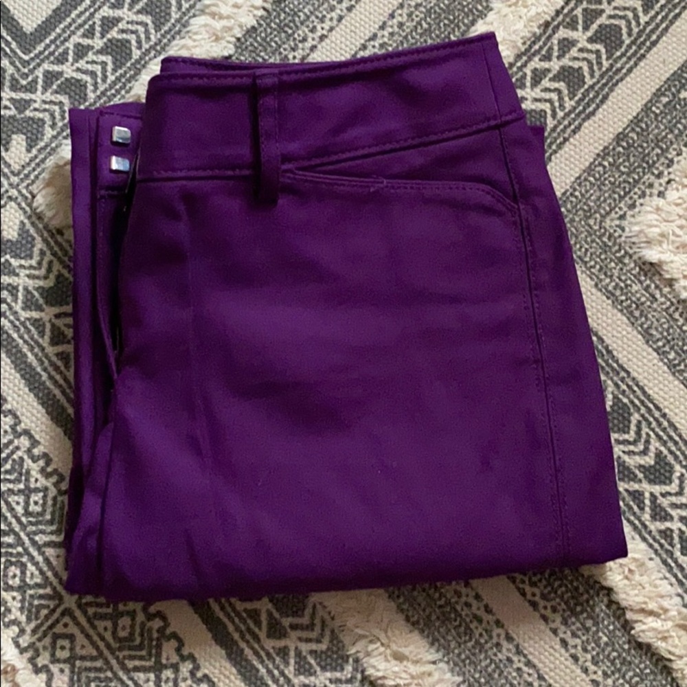 purple business pants